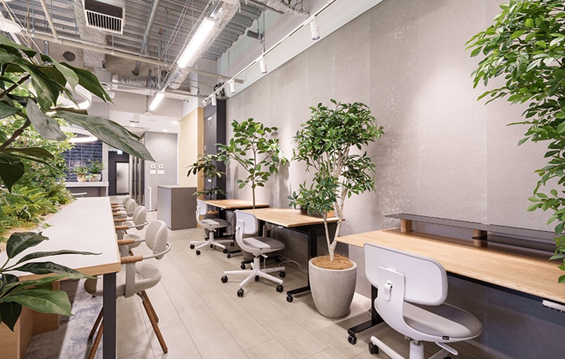 DIAGONAL RUN FUKUOKA