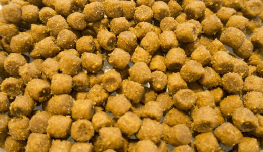 ドッグフードのブリーダーパックは格安・激安？業務用レベルのサイズで買えるおすすめランキングも紹介