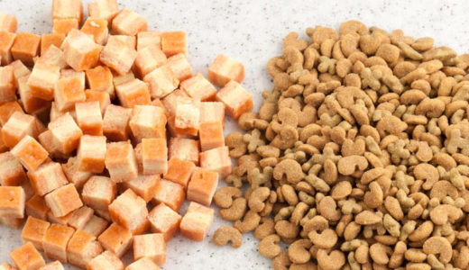 ターキーとチキンのドッグフードの違いとは？年齢・サイズ・健康状態を考慮した選び方を徹底解説