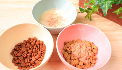 高脂血症の犬と暮らす飼い主さんはドッグフードはどう選ぶべき？避けるべき食べ物を含めて解説